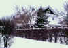 Minneota